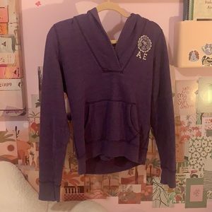 American Eagle Outfitters Dark Purple Hoodie with V-neck | Size Small | Graphic